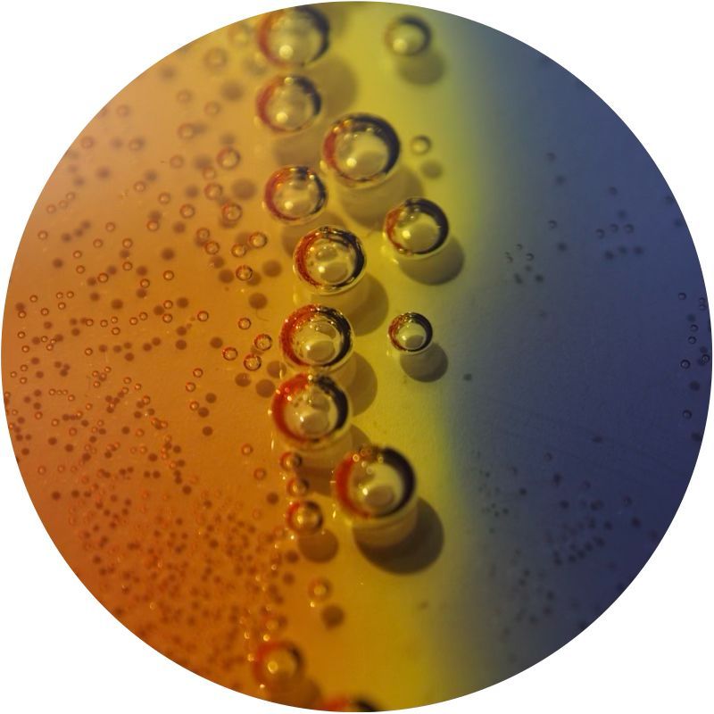Dispersion et solubilisation